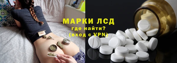 индика Баксан