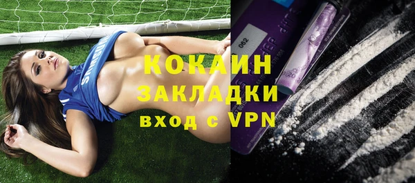 индика Баксан