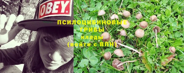 молекула духа Балабаново