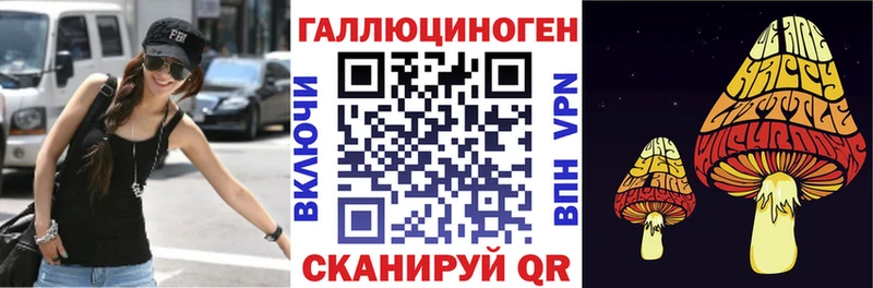 Галлюциногенные грибы Psilocybine cubensis Лакинск