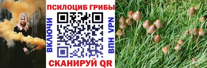 Галлюциногенные грибы мицелий  Лакинск 